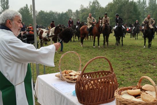 paardenwijdig
