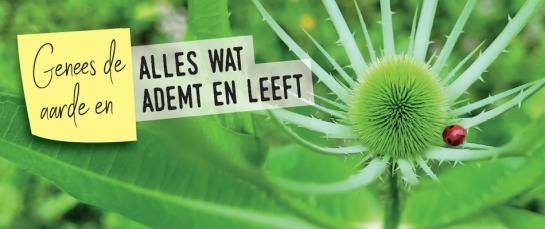 ecokerk