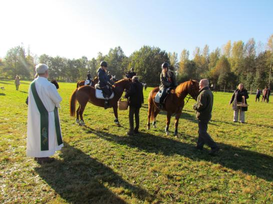 paardenzegening