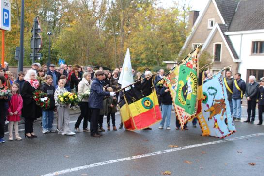 11 november